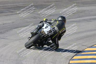 media/Feb-04-2024-SoCal Trackdays (Sun) [[91d6515b1d]]/4-Bowl Backside (11am)/